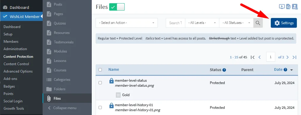 image - WordPress Membership Plugin - Membership Sites Protect Your Files Using WishList Member File Protection - General Settings
