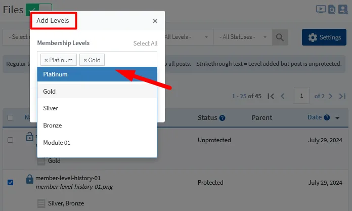image - WordPress Membership Plugin - Membership Sites Protect Your Files Using WishList Member File Protection - Add Levels to Content