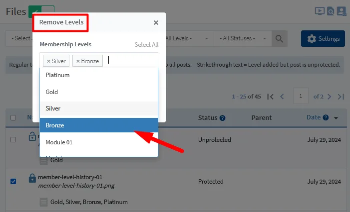 image - WordPress Membership Plugin - Membership Sites Protect Your Files Using WishList Member File Protection - Remove Levels from Content