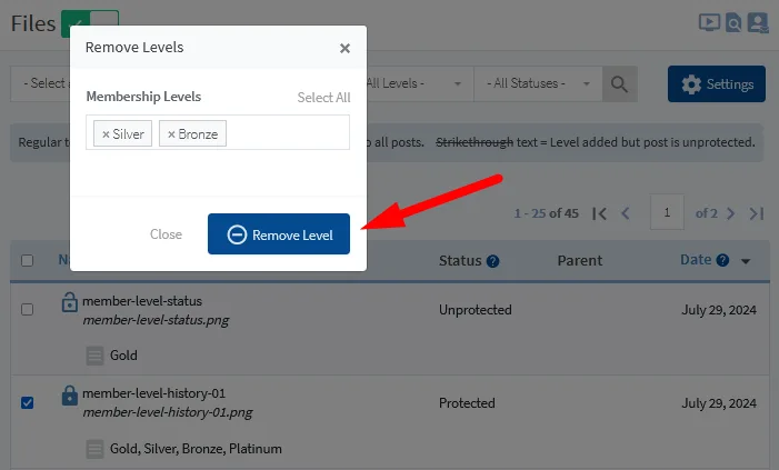 image - WordPress Membership Plugin - Membership Sites Protect Your Files Using WishList Member File Protection - Remove Levels from Content