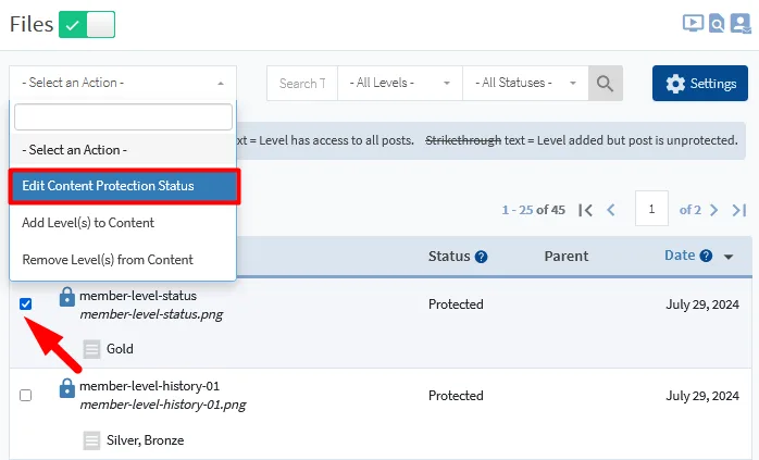 image - WordPress Membership Plugin - Membership Sites Protect Your Files Using WishList Member File Protection - Edit Content Protection Status