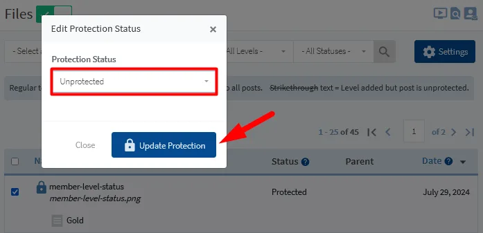 image - WordPress Membership Plugin - Membership Sites Protect Your Files Using WishList Member File Protection - Edit Content Protection Status