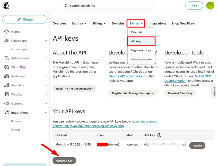 image - WordPress Membership Plugin - Membership Sites Connecting MailChimp with WishList Member - API Key