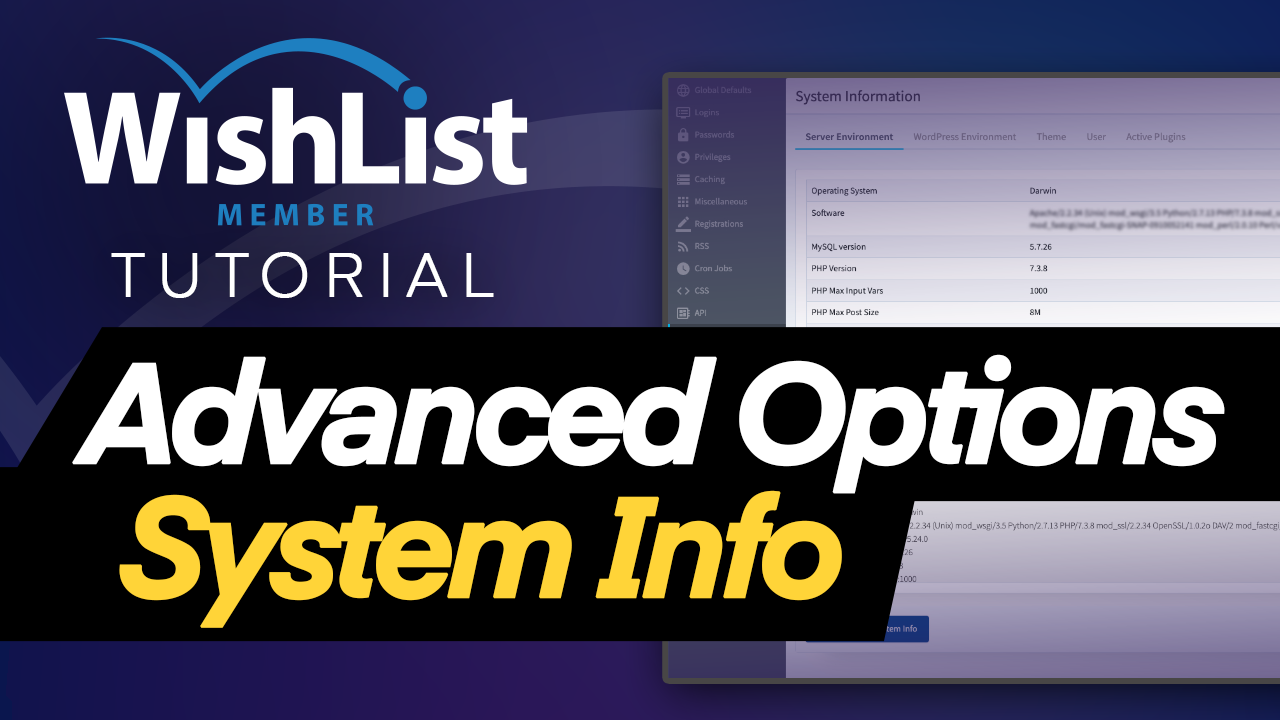 Read more about the article Advanced Options – System Info