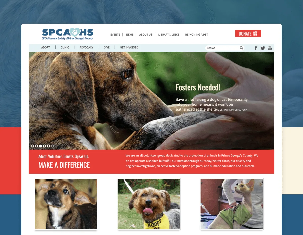 Read more about the article SPCA/Humane Society of Prince George’s County, Inc.