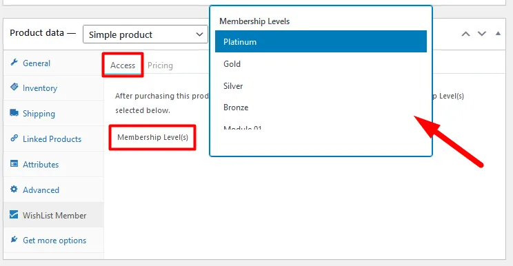 image - WordPress Membership Plugin - Membership Sites