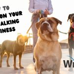 Starting a Dog Walking Website on WordPress