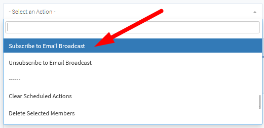 Bulk Edit Existing Members in WishList Member - Subscribe to Email Broadcast