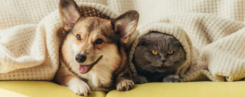 Pets - WordPress Membership Plugin - Membership Sites Pets