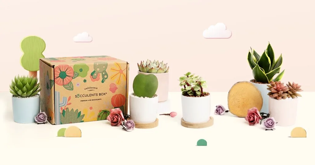succulents box facebook image - WordPress Membership Plugin - Membership Sites Succulents subscription box with examples of succulents