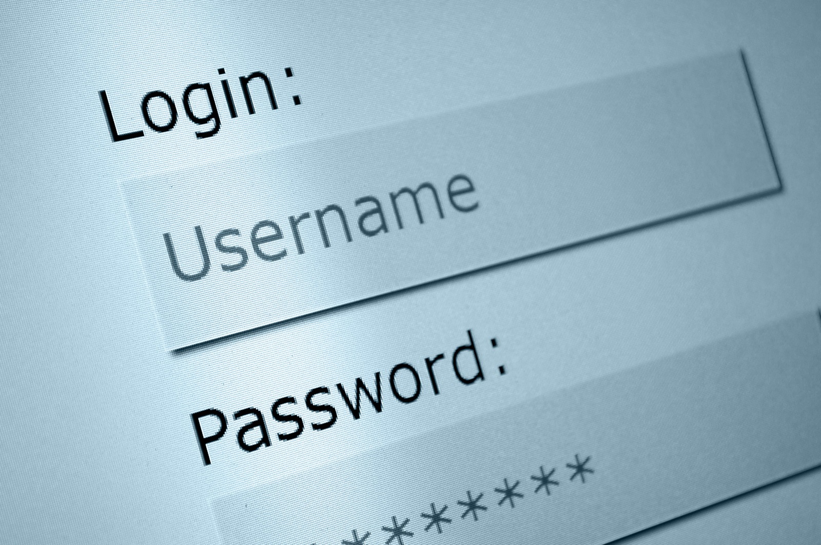 Close-up view of a digital login screen displaying fields for 'Username' and 'Password', with the password field showing obscured characters for security.
