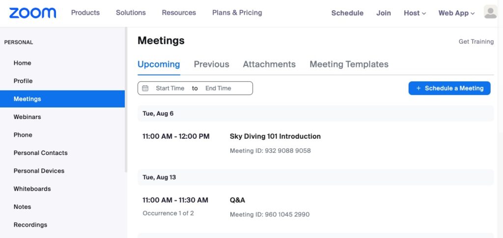 Screenshot of Zoom Meetings